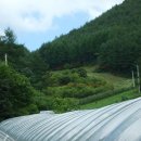 송정2리 이미지