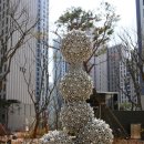 形(형)?積(적)- 이미지