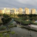 수완호수공원 이미지