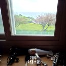 제주 시내 공항 근처 게스트하우스 소담소담 내돈내산 숙박 후기