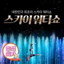 스카이워터쇼 이미지