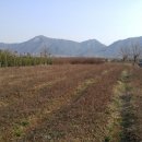 진정2농장 이미지