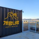 개랑나랑 이미지