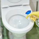 꼼꼼이자매들 네이버블로그