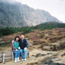 일조식당 이미지