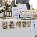청춘애한방