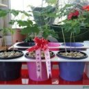 삼밭협동조합 이미지