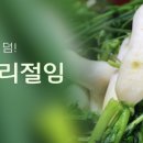 해남들영농조합법인