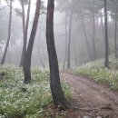 황금물결민박 이미지