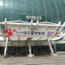 [대구,전시회] 2019 대구 꽃 박람회 후기 및 포토존
