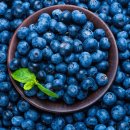 블루베리 이미지