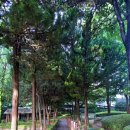 상대원제4공영주차장 이미지