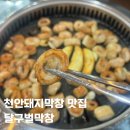 봉명역 | 천안돼지막창 쌍용동 달구벌막창 봉명역 삼겹살 방문 후기