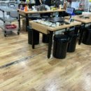 돼지랑돌이랑 이미지