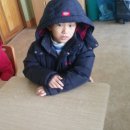 교룡초등학교 이미지