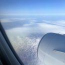 MY. Q | 선셋 롤러코스터 내한 공연 후기 Q comes Q goes