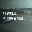 나연결혼정보 | 나연타로 후기가 이렇게 많다고? 직접 확인해봄