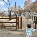 포천 팜스플랜 이미지