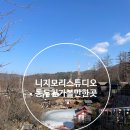 세븐일레븐 동두천중앙시장점 | 동두천 작은 일본 마을 니지모리스튜디오 리얼 후기