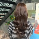 교대역 미용실 홍은채 염색 허쉬컷과 매트 브라운 염색 오즈헤어 수현실장님 후기