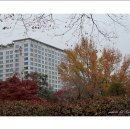 시청앞 공원 이미지