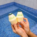 등억알프스온천앤호텔(주) | 만족도 100%! 울산 등억알프스온천텔 가족탕 후기(대실 가격)