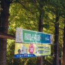 태안 청산수목원 핑크뮬리 팜파스축제 후기