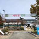 경기 양평] 가을 나들이 코스로 제격인 단풍명소 - 세미원 / 두물머리 (ft. 세미원 스탬프투어/두물머리...