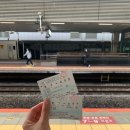 유후인노모리 기차 탑승 후기 | 하카타역 발권 • 명당 자리 • 매점 • 도시락 에키벤또 🍱