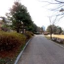 서호공원 이미지