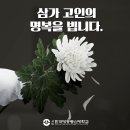 고인 이미지