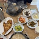 인앤양양 | 양양 맛집 웨이팅 팁 :: 대기시간 10분만에 들어간 감나무식당 내돈내산 솔직후기