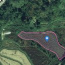 서포공인중개사사무소 이미지