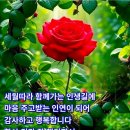 빈틈(空白, gap) 이미지