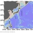 일본 인근 북서태평양 공해상에서도 해양 방사능 조사 실시 이미지