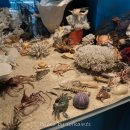 땅끝해양자연사박물관 이미지