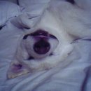 안녕, 애기 이미지