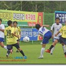 성남미금초등학교 이미지