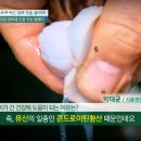 장생식품 이미지