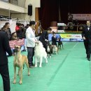 고양고등학교 이미지