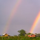 국보행정사 사무소 이미지