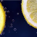 레몬의 꿈 이미지