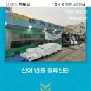 선어냉동물류 네이버블로그