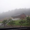 곡성-182 Daum카페