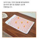 푸드워머 웰앤베리 내돈내산 사용 후기
