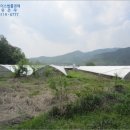 천안시병천면매성보건진료소 | [2015타경6660] 충남 천안시 동남구 병천면 관성리 &lt;&lt;토지(전)경매&gt;&gt; [더에이스]