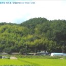 진골천 이미지
