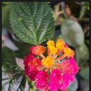 주안역 센트레빌 아파트 이미지