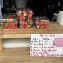 아꼬아체험농장카페
