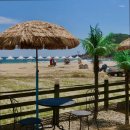 백도 SEA 이미지